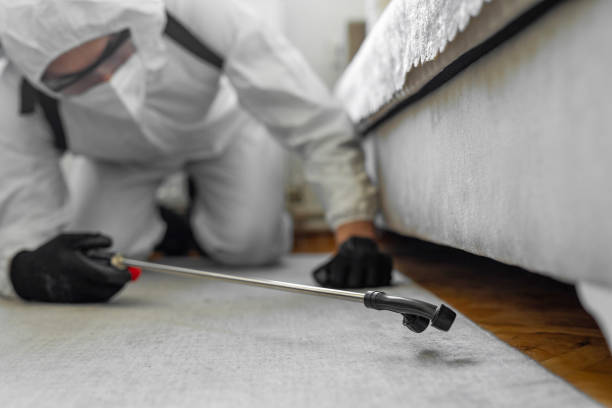Professional Ant Control technician working in Shiner, TX